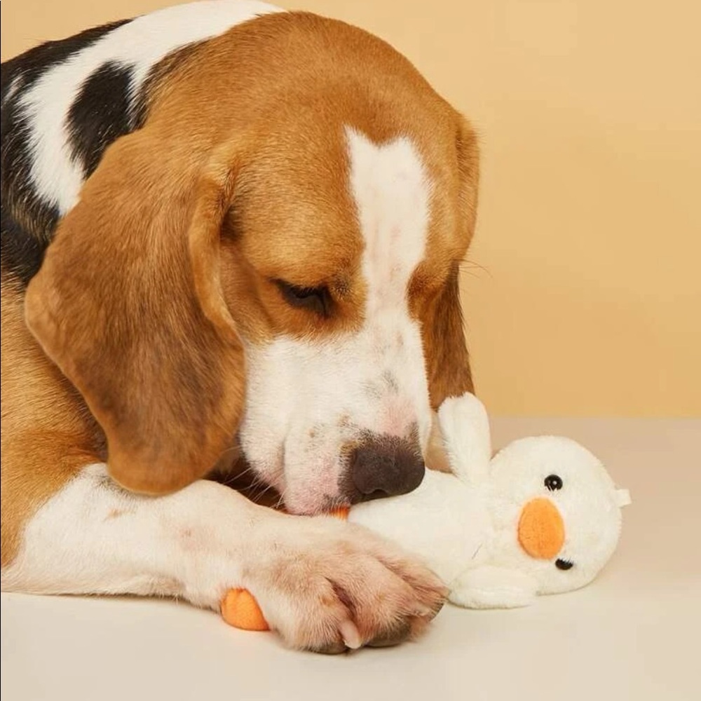 Duck Design Pet Plush Toy 🐕